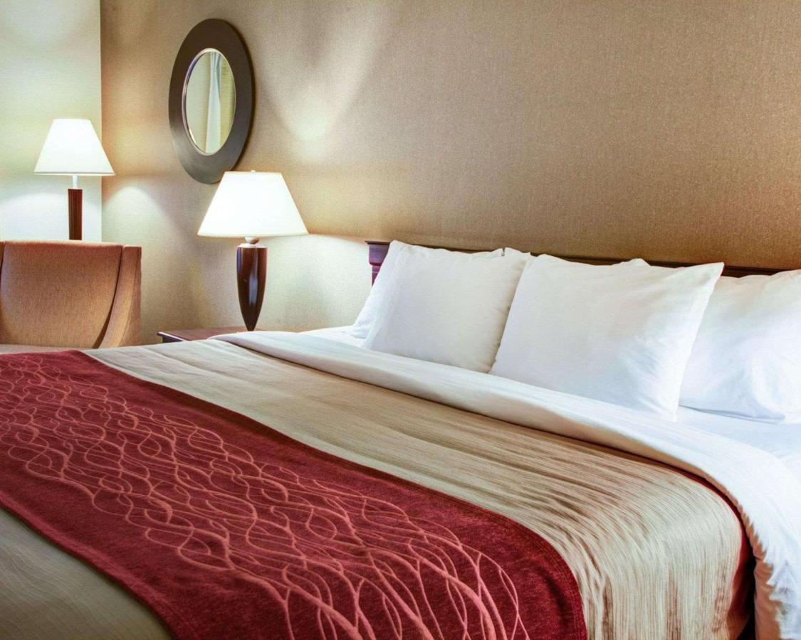 King Room - Non-Smoking at Quality Inn Florence