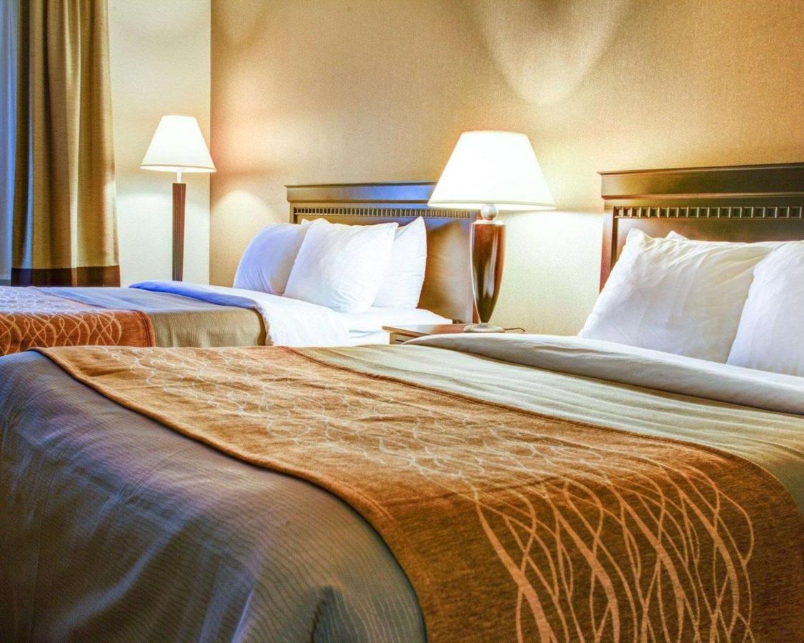 Queen Room with Two Queen Beds - Non-Smoking at Quality Inn Florence