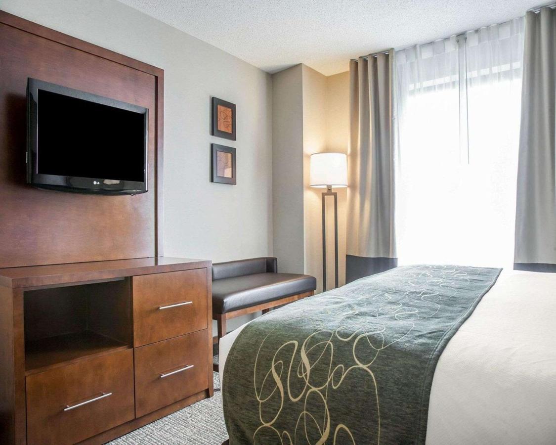 | Comfort Suites West Warwick - Providence