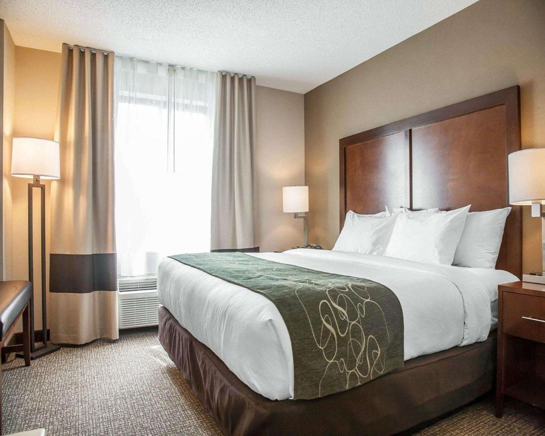 | Comfort Suites West Warwick - Providence