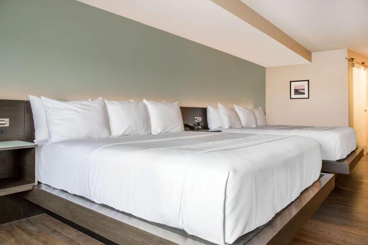 King Room with Two King Beds - Non-Smoking at Wyndham Newport Hotel