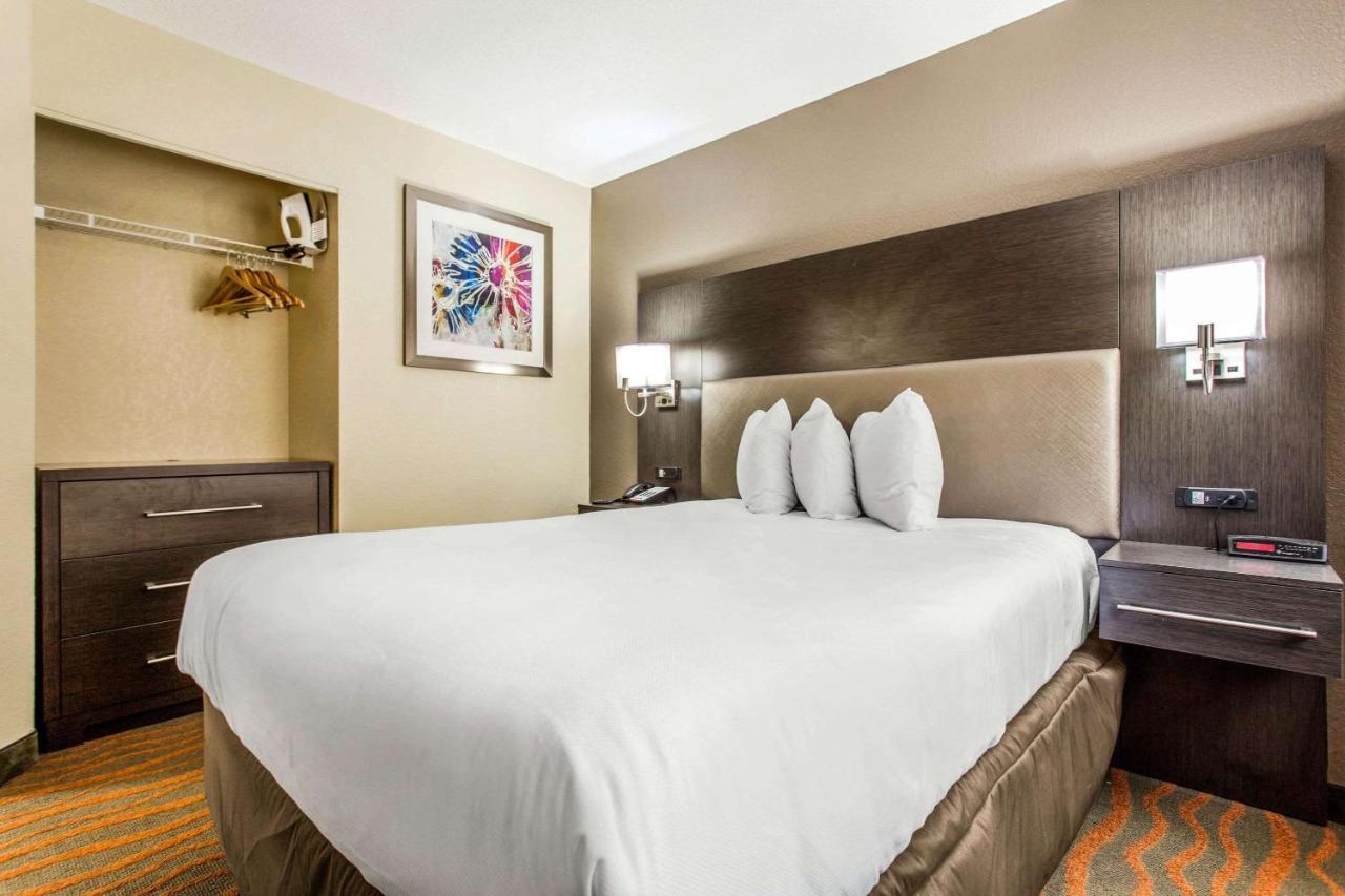 One-Bedroom Queen Suite with Sofa Bed - Non-Smoking at MainStay Suites Greenville Airport