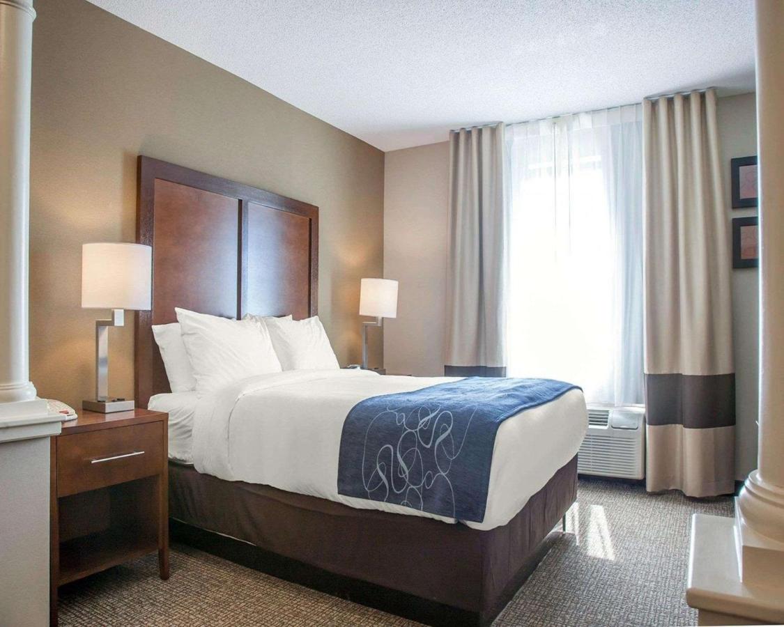 | Comfort Suites West Warwick - Providence