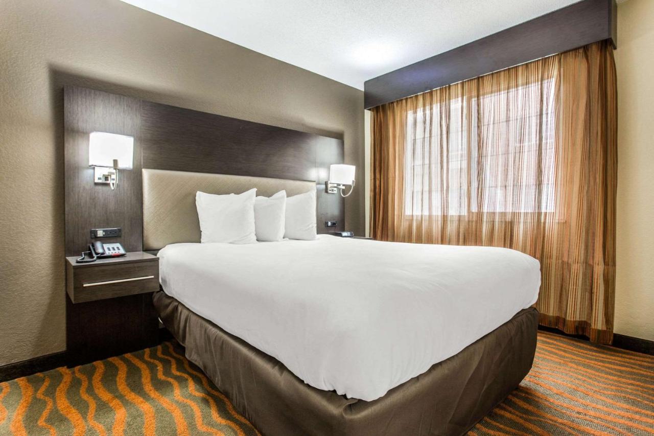 One-Bedroom Queen Suite with Sofa Bed - Non-Smoking at MainStay Suites Greenville Airport