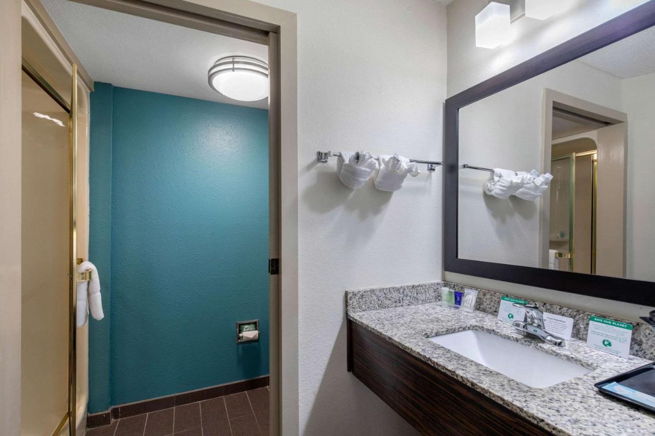 King Room - Non-Smoking at Clarion Inn & Suites DFW North