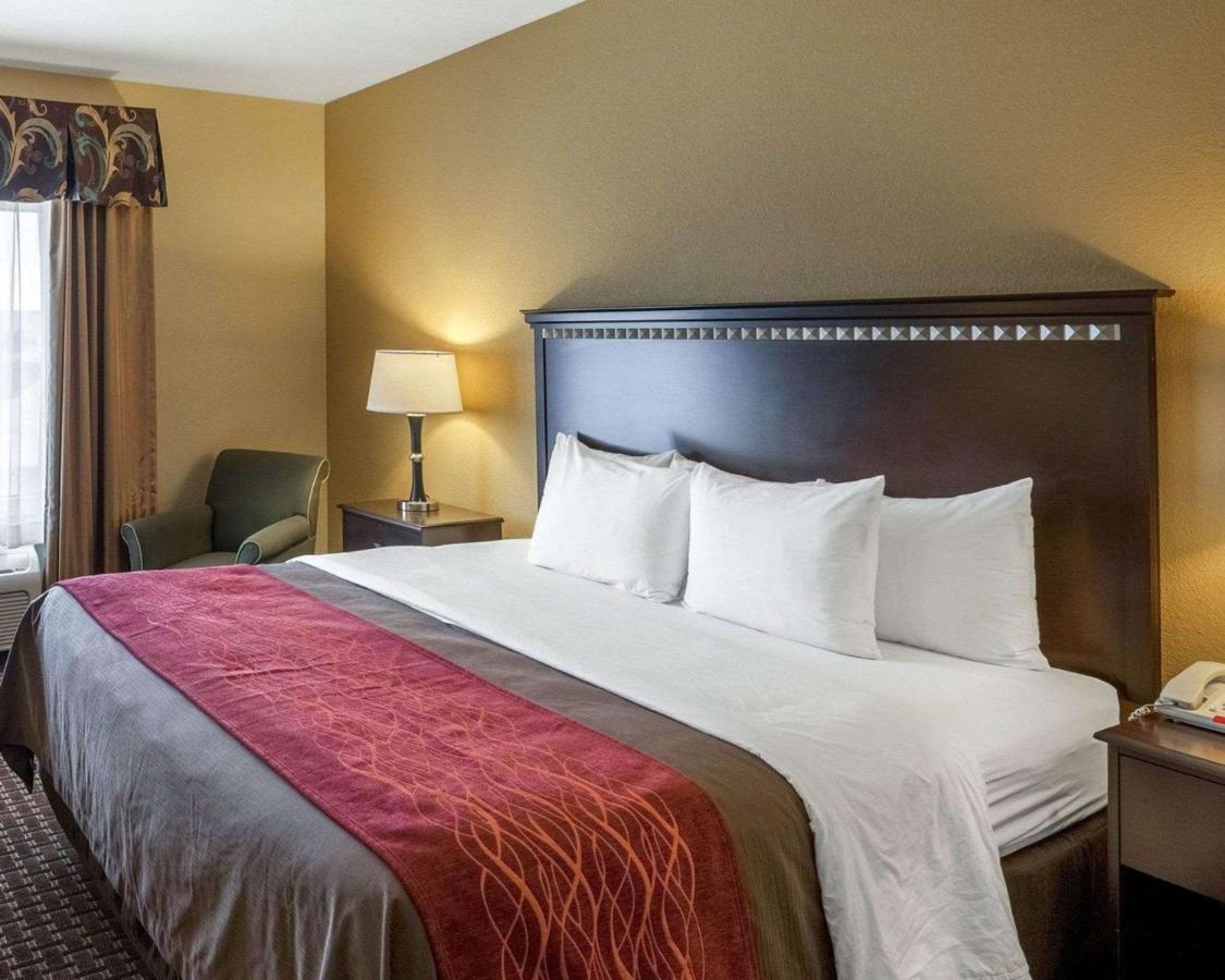 King Room - Non-Smoking at Comfort Inn & Suites Regional Medical Center