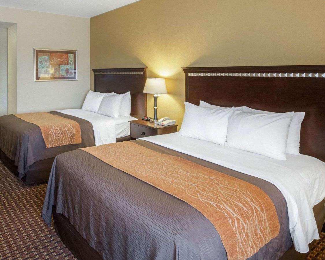 Queen Room with Two Queen Beds - Accessible/Non-Smoking at Comfort Inn & Suites Regional Medical Center