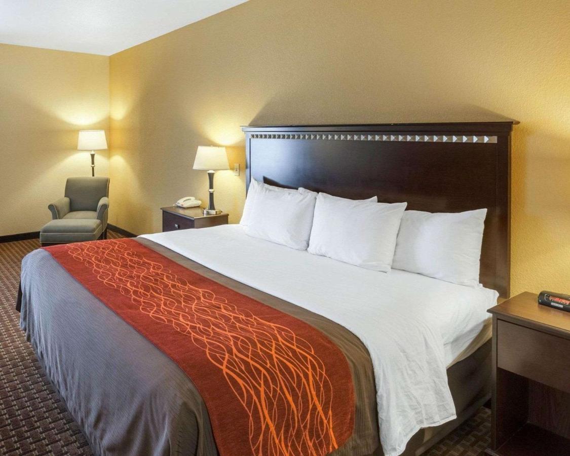 King Room - Non-Smoking at Comfort Inn & Suites Regional Medical Center