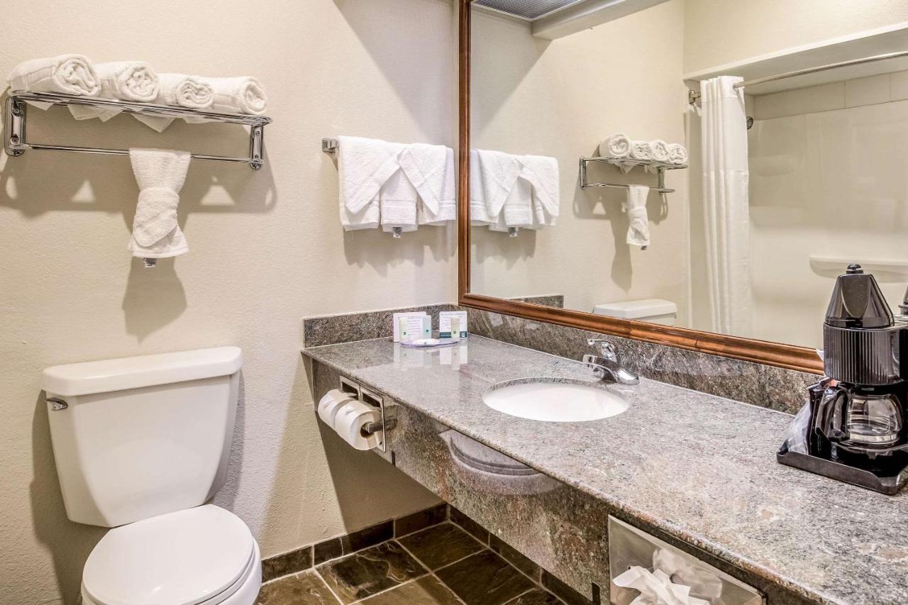 King Room - Non-Smoking at Quality Inn & Suites Seabrook - NASA - Kemah