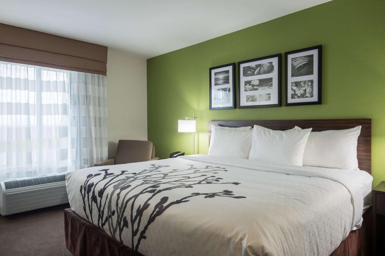 Standard King Room - Non-Smoking at Sleep Inn & Suites
