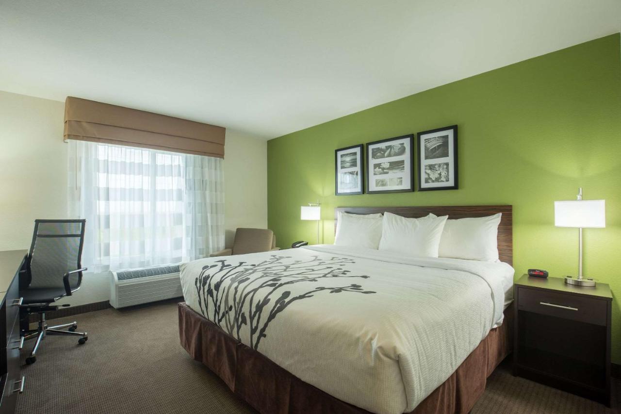 Standard King Room - Non-Smoking at Sleep Inn & Suites