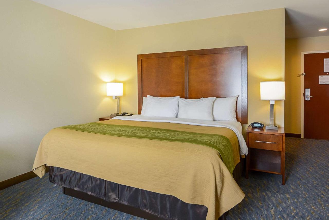 King Room at Comfort Inn Woodstock Shenandoah