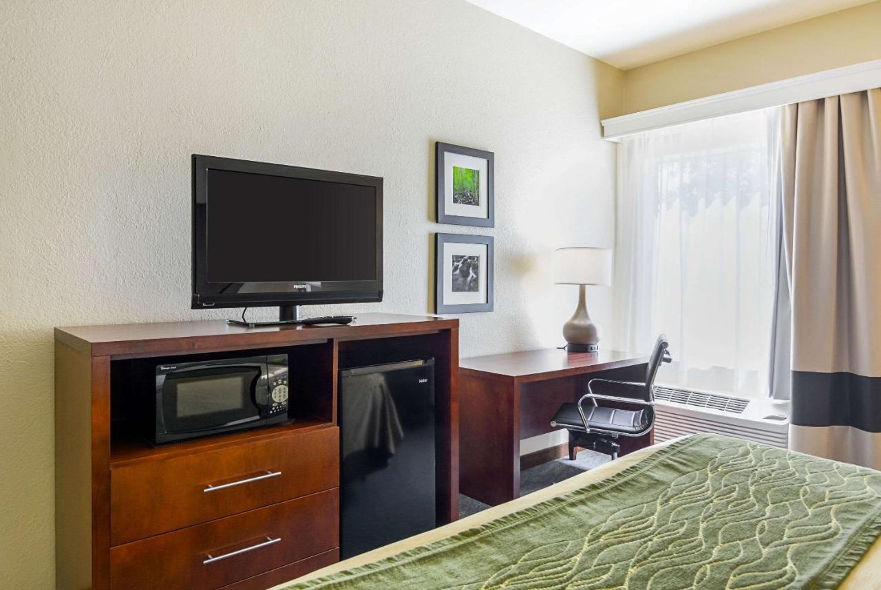 King Room at Comfort Inn Woodstock Shenandoah