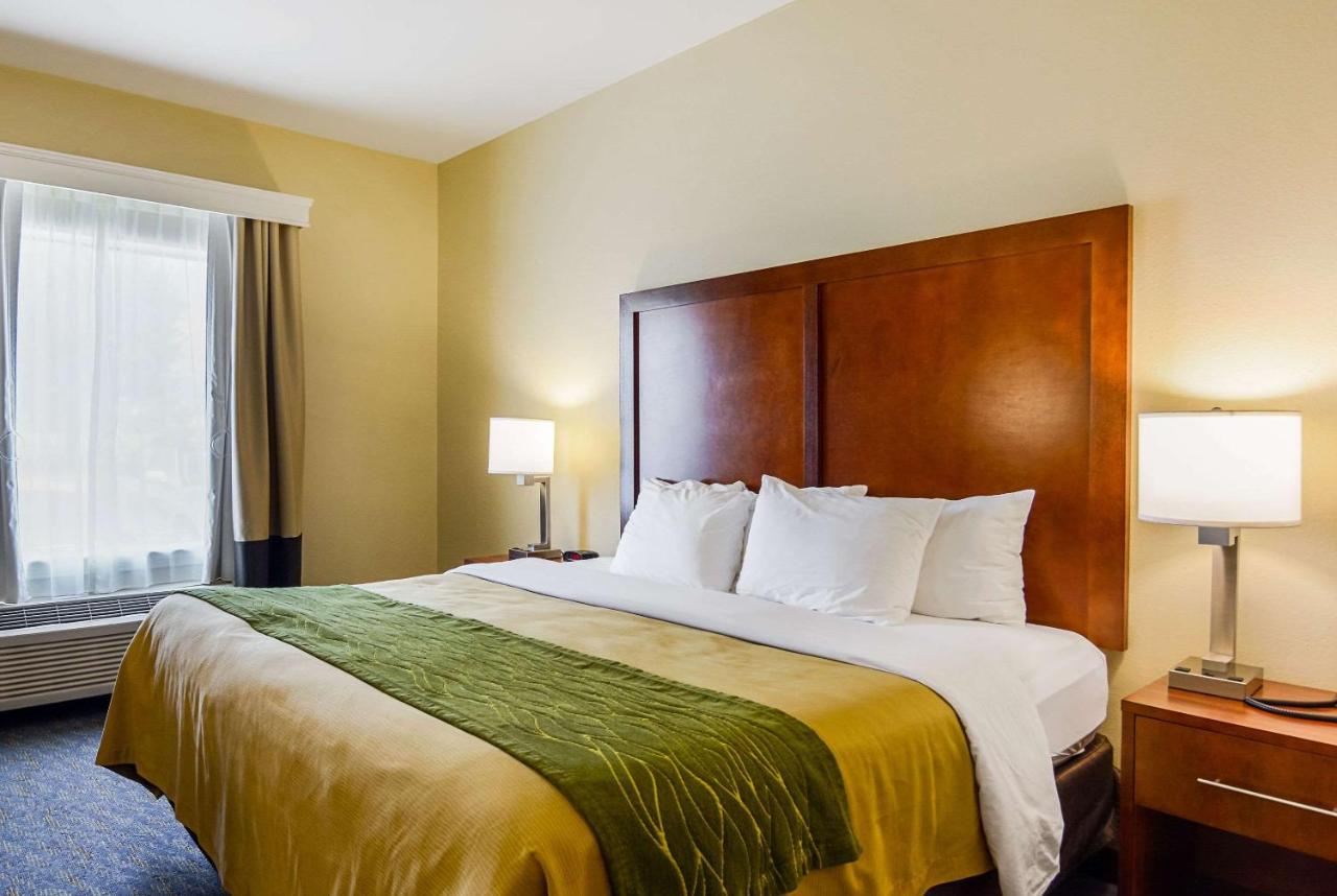 King Room with Roll in Shower - Mobility Accessible/Non-Smoking at Comfort Inn Woodstock Shenandoah