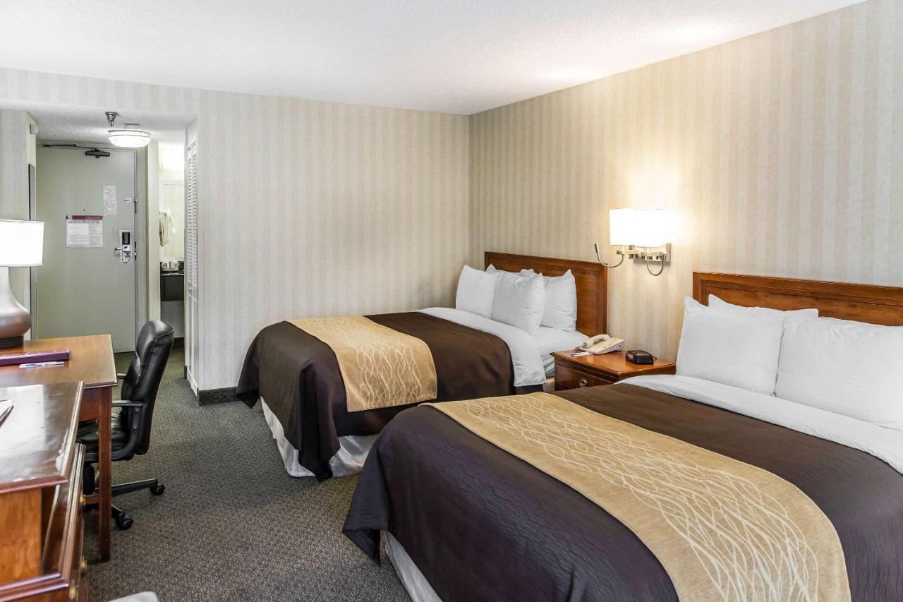 Double Room with Two Double Beds - Non-Smoking at Comfort Inn Pentagon City