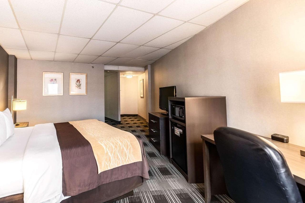 Standard Room with One King Bed - Courtyard View at Comfort Inn Ballston