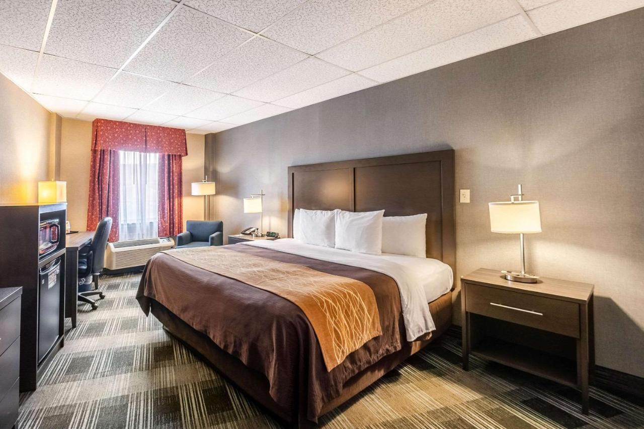 Standard Room with One King Bed - Courtyard View at Comfort Inn Ballston