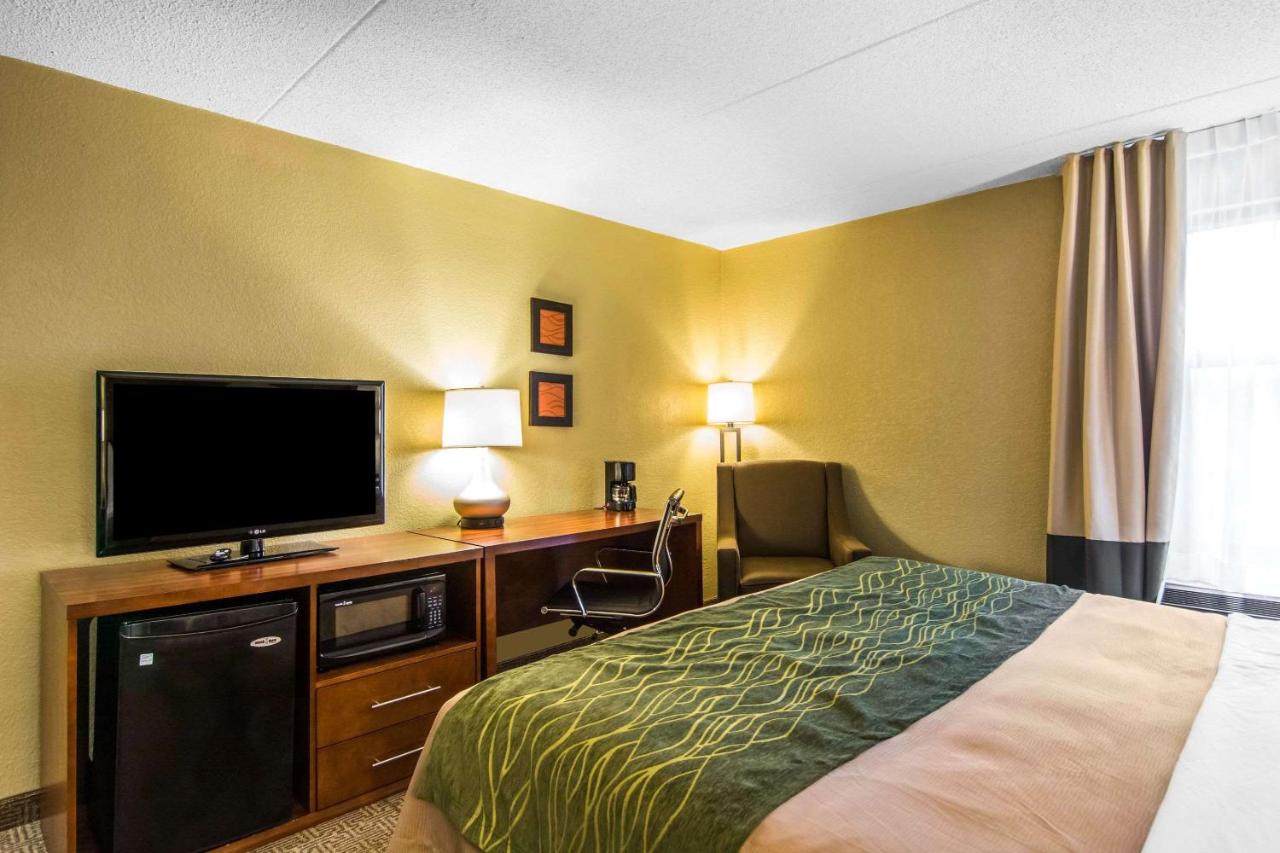 Standard King Room - Non-Smoking at Quality Inn