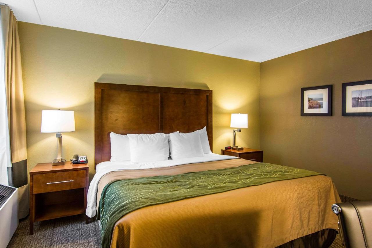 Standard King Room - Non-Smoking at Quality Inn