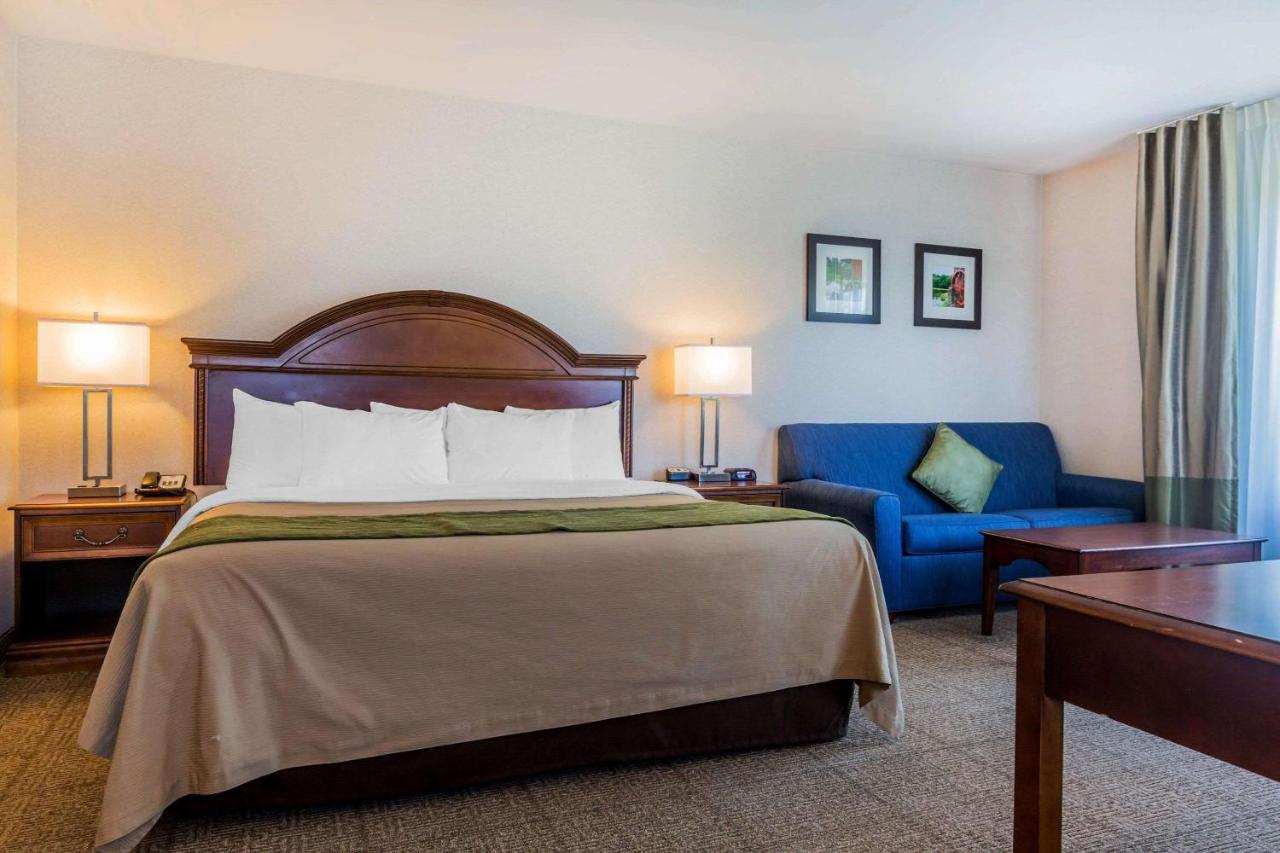 | Comfort Inn & Suites South Burlington