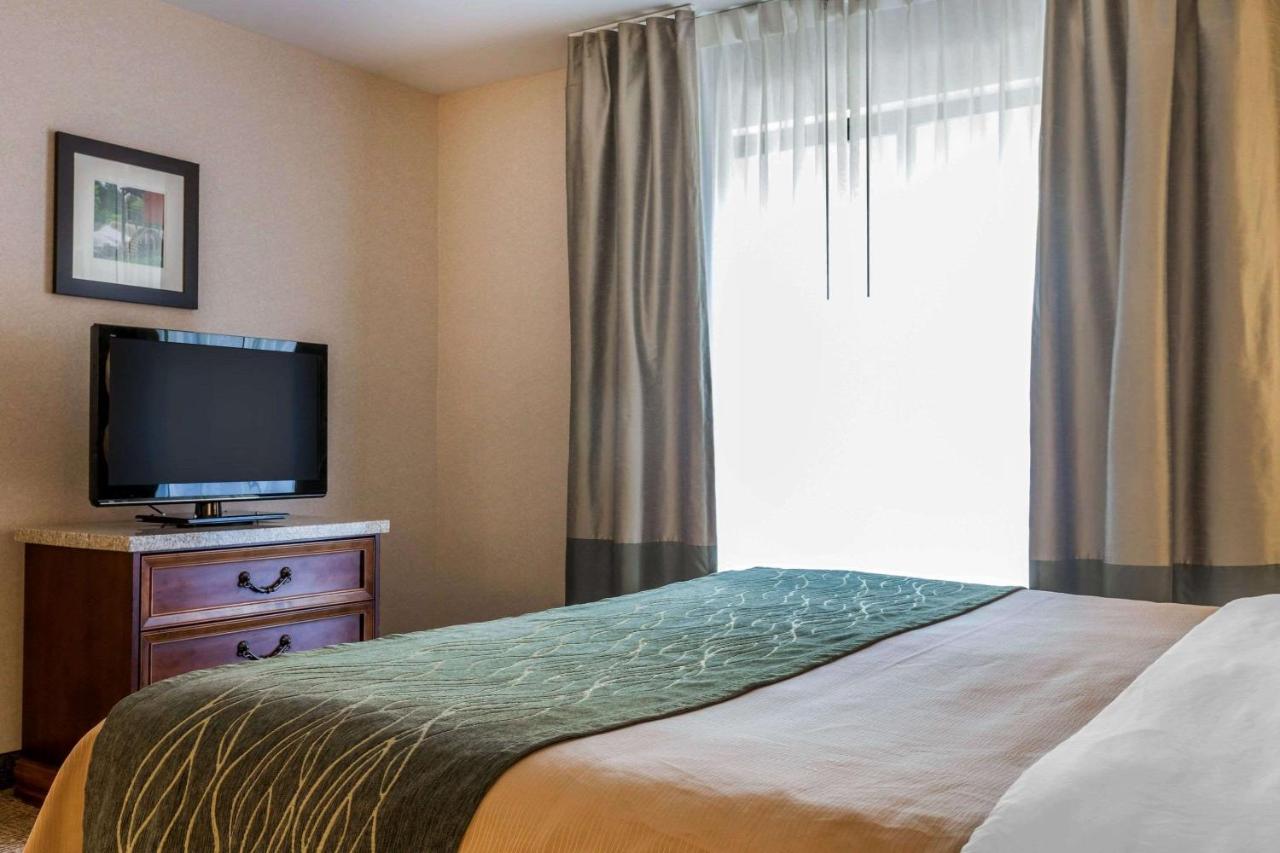 | Comfort Inn & Suites South Burlington