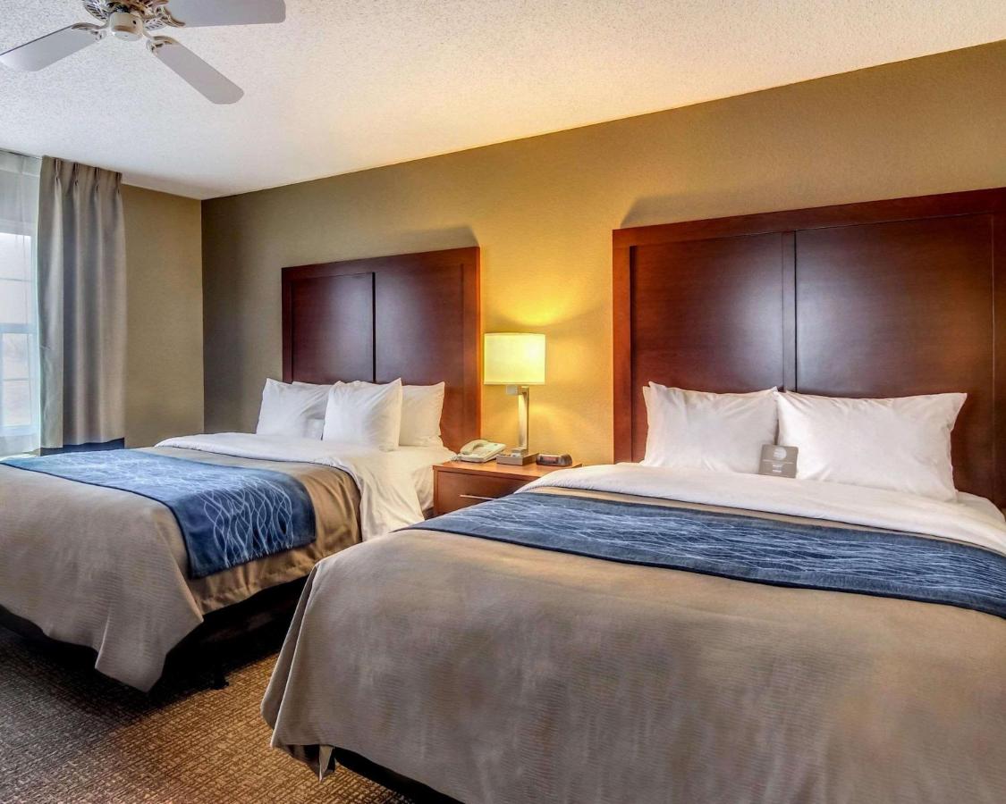 Queen Room with Two Queen Beds- Non-Smoking at Comfort Inn & Suites Grafton - Cedarburg
