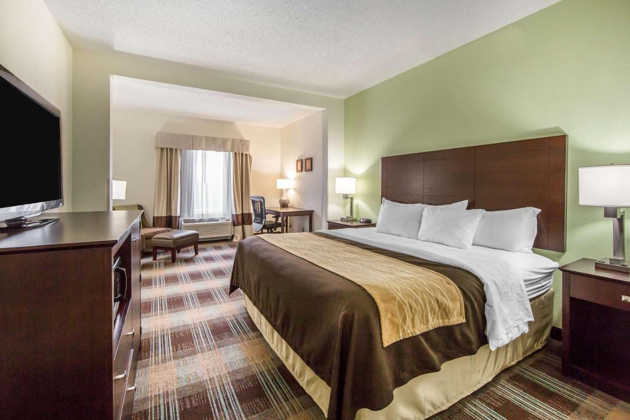 King Room - Non-Smoking at Comfort Inn Lexington South