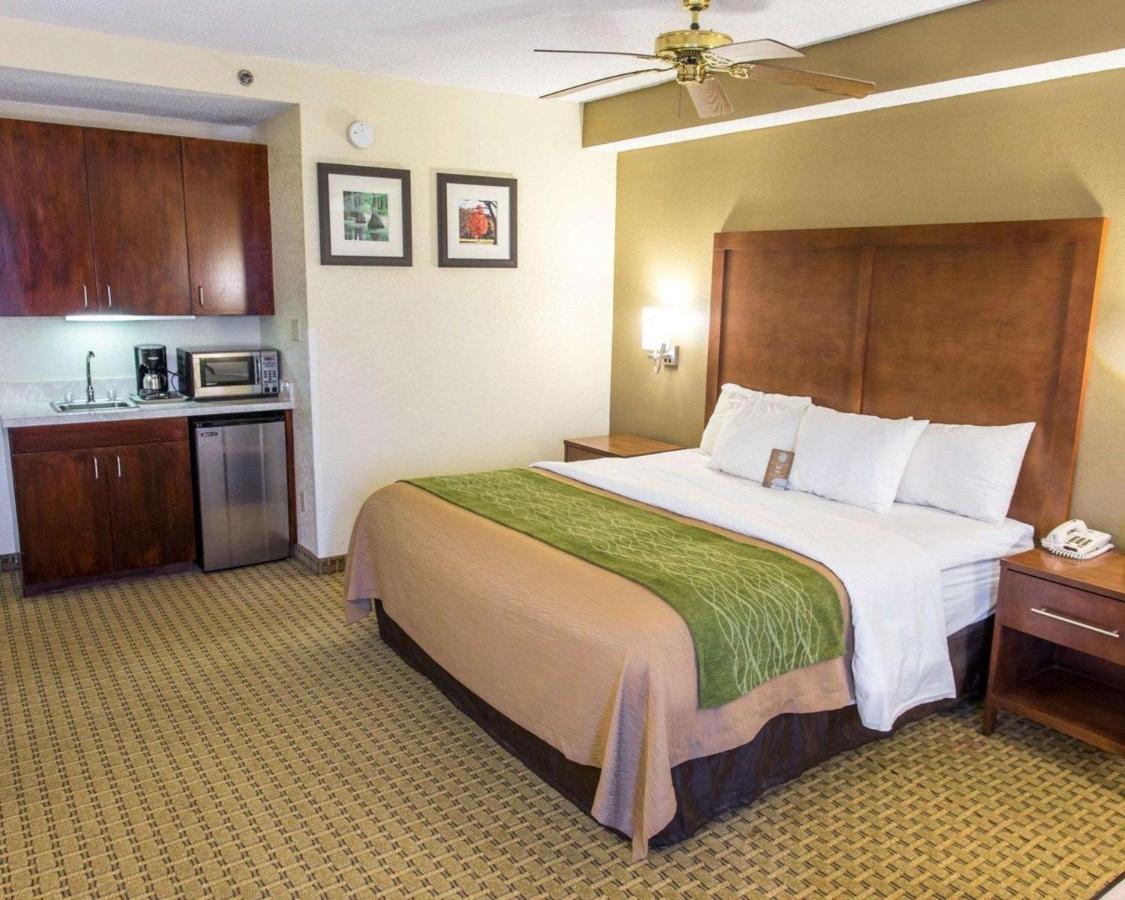Junior Suite at Comfort Inn Hammond