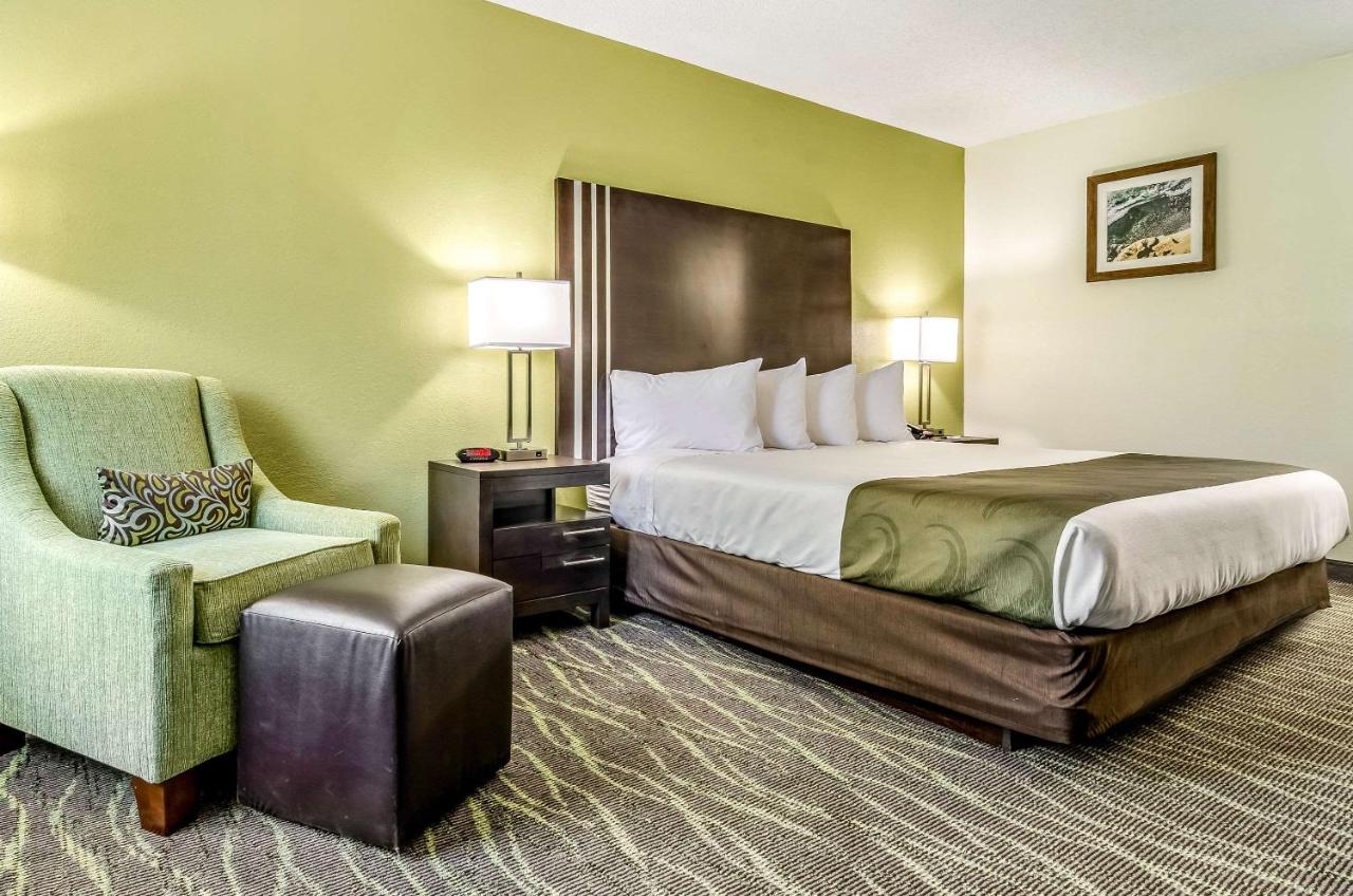 King Room - Non-Smoking at Quality Inn & Suites Creedmoor - Butner