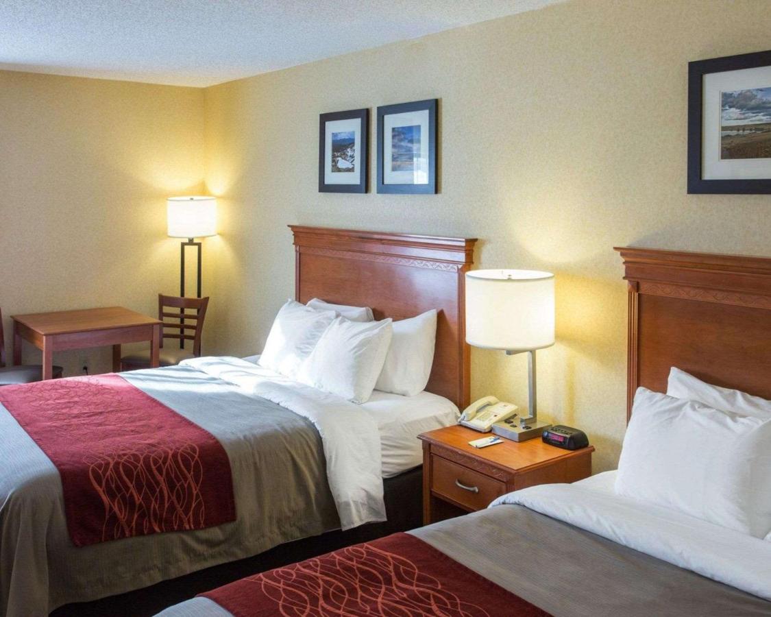Room #48934006 at Quality Inn Pueblo North