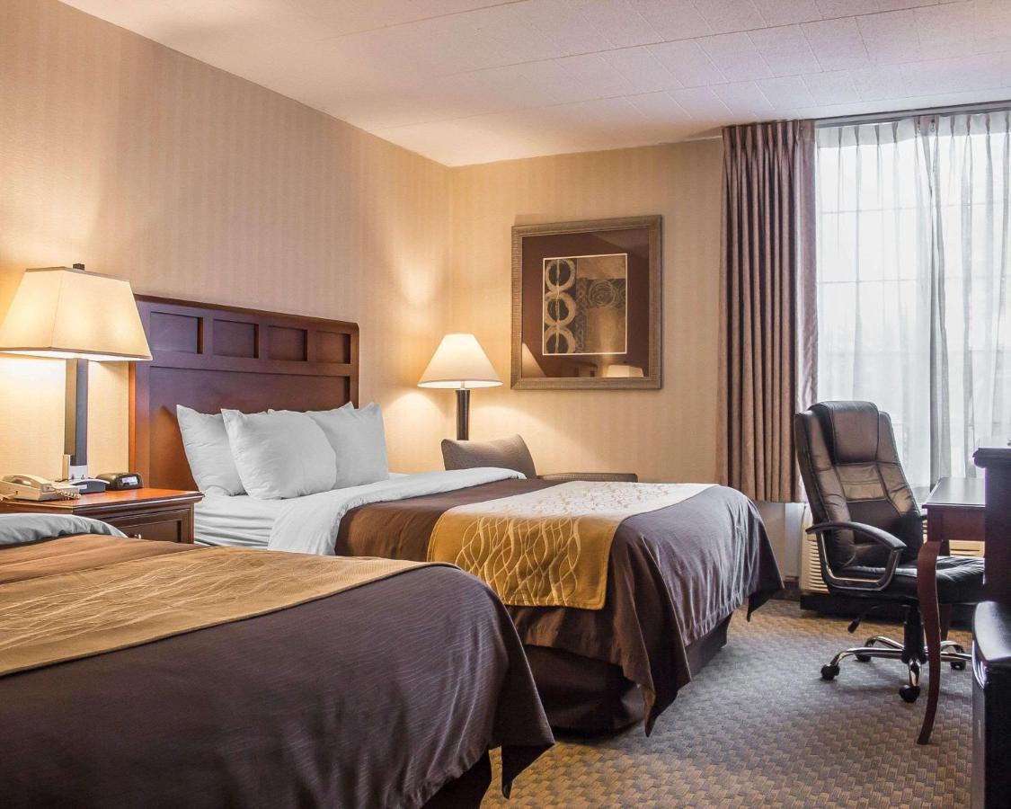| Comfort Inn Wethersfield - Hartford
