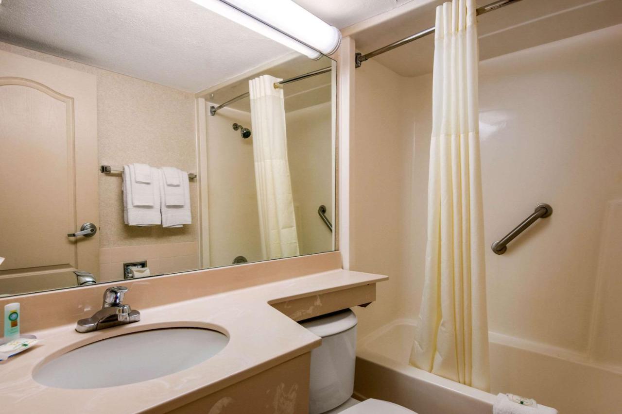 Room #48941014 at Quality Inn & Suites Tarpon Springs South