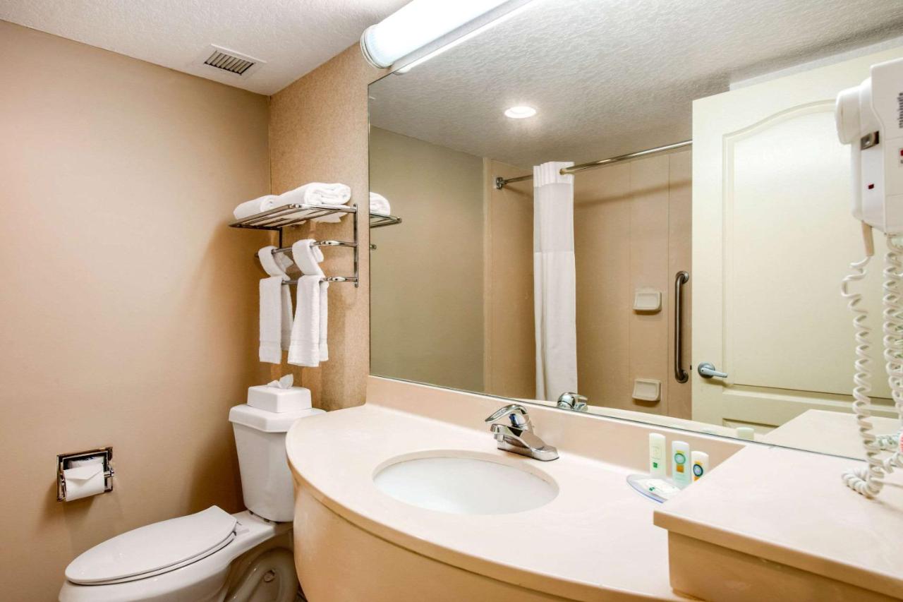 King Room Courtyard View at Quality Inn & Suites Tarpon Springs South