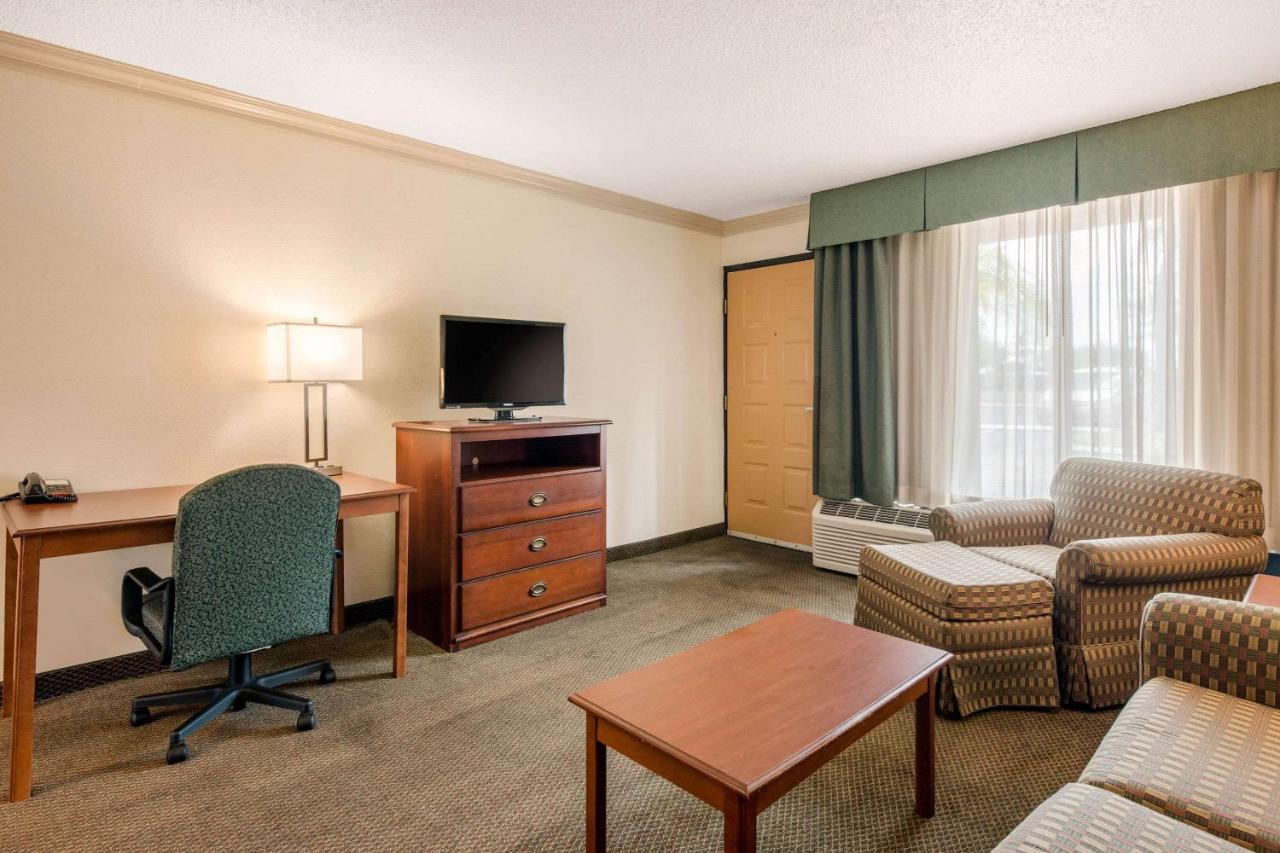 King Suite with Sofa Bed - Non-Smoking at Quality Inn & Suites Tarpon Springs South