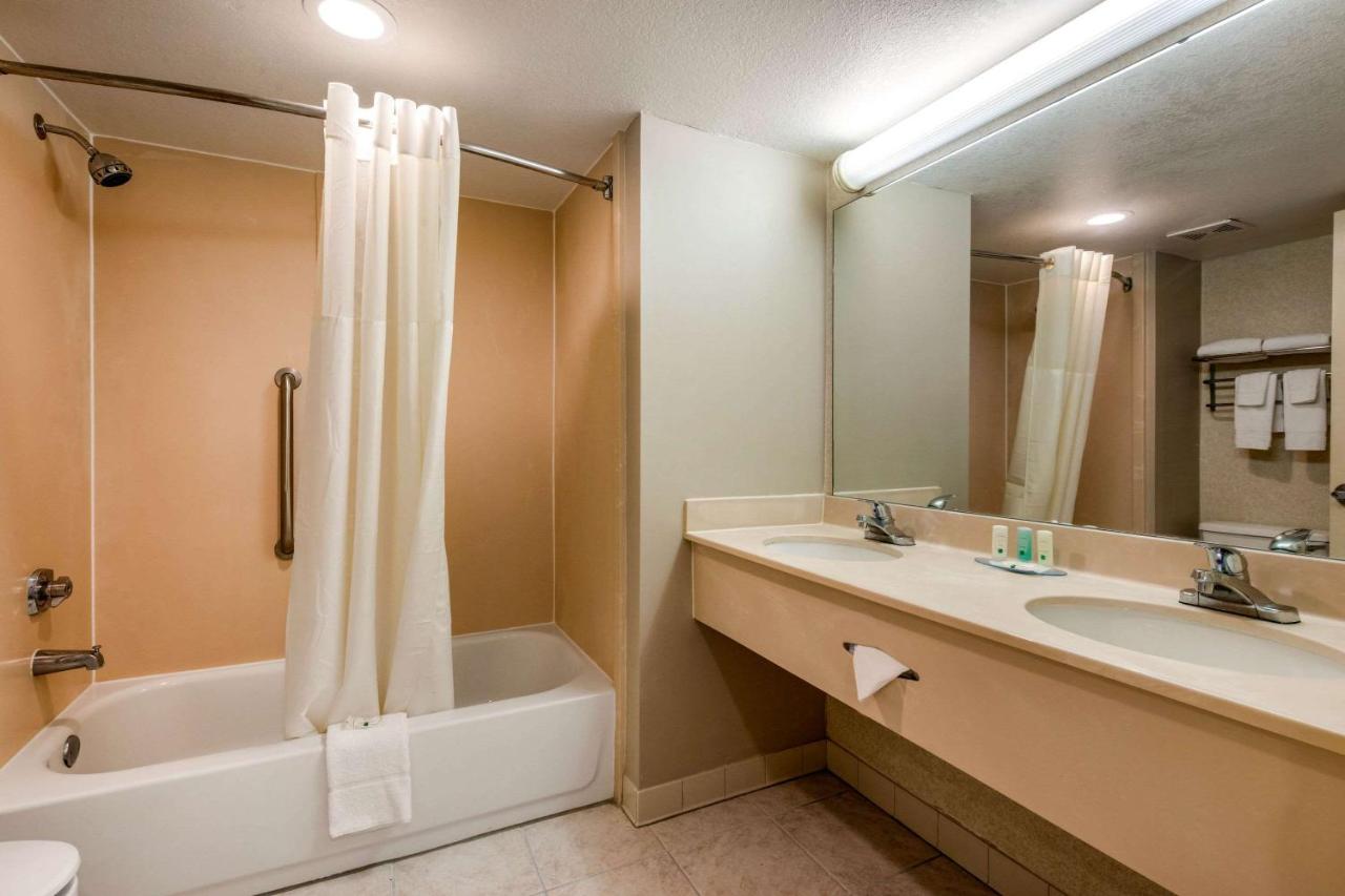 King Suite with Sofa Bed - Non-Smoking at Quality Inn & Suites Tarpon Springs South