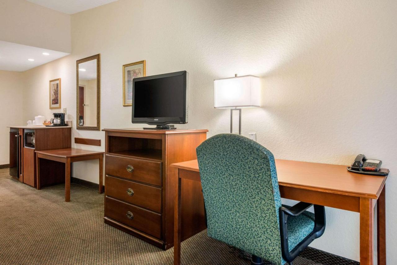King Room Courtyard View at Quality Inn & Suites Tarpon Springs South