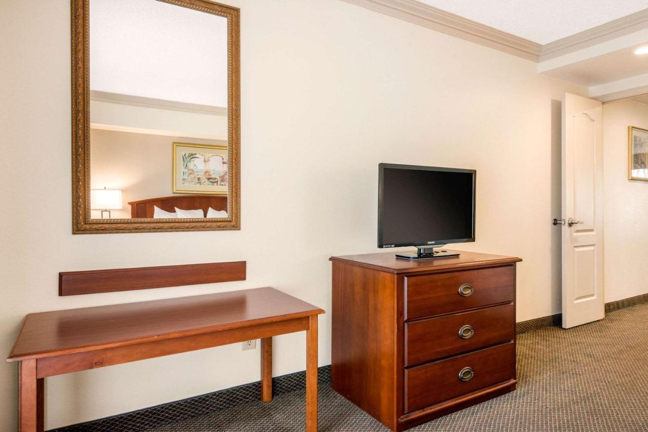 King Suite with Sofa Bed - Non-Smoking at Quality Inn & Suites Tarpon Springs South