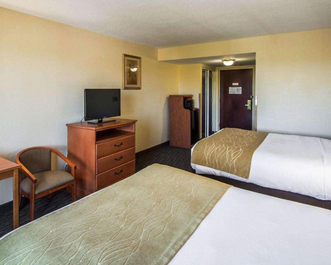 Standard Two Queens - Non-Smoking at Comfort Inn & Suites Jupiter I-95