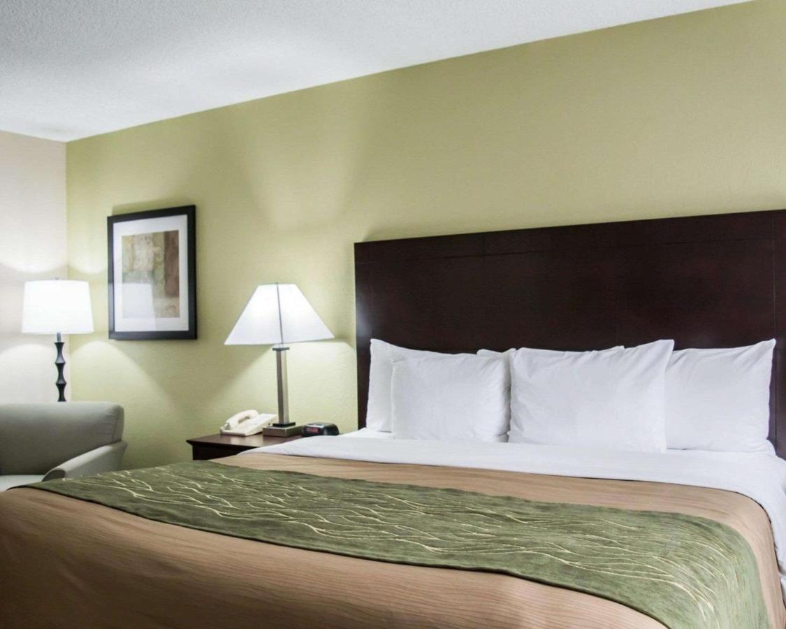 Room #48950213 at Comfort Inn & Suites St. Pete - Clearwater International Airport