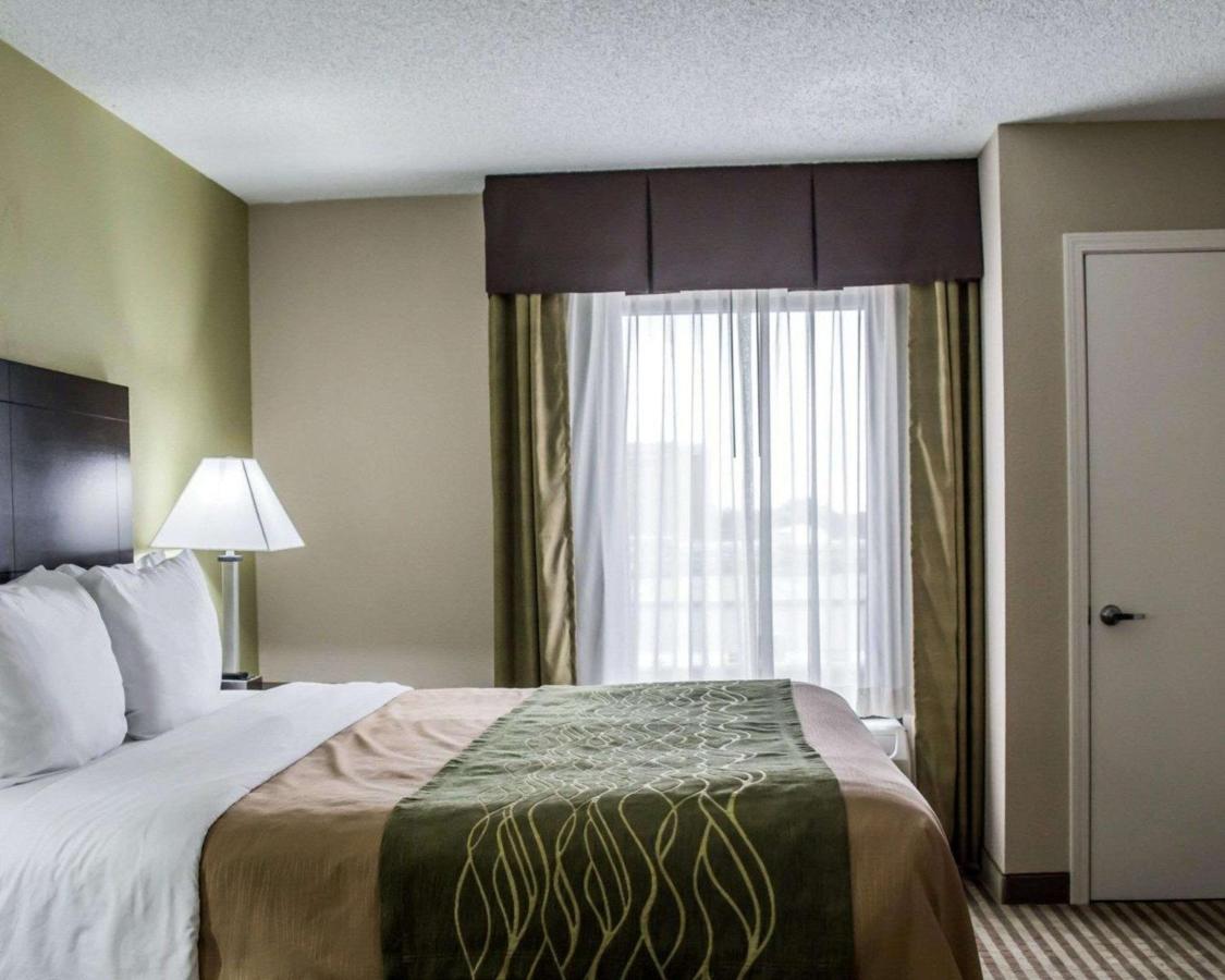 Room #48950211 at Comfort Inn & Suites St. Pete - Clearwater International Airport