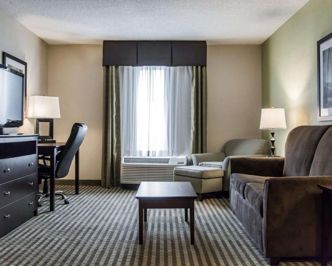 Room #48950212 at Comfort Inn & Suites St. Pete - Clearwater International Airport