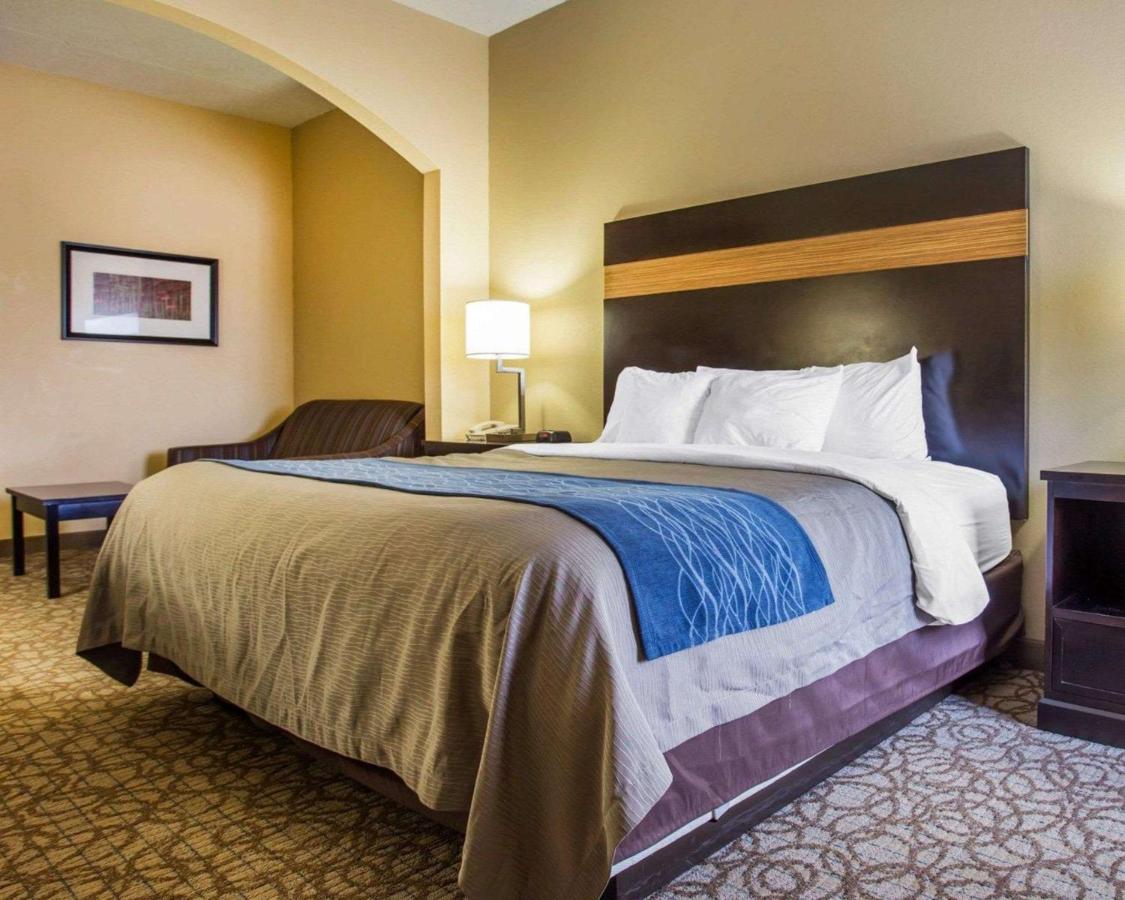 King Suite - Non-Smoking at Comfort Inn & Suites at Stone Mountain