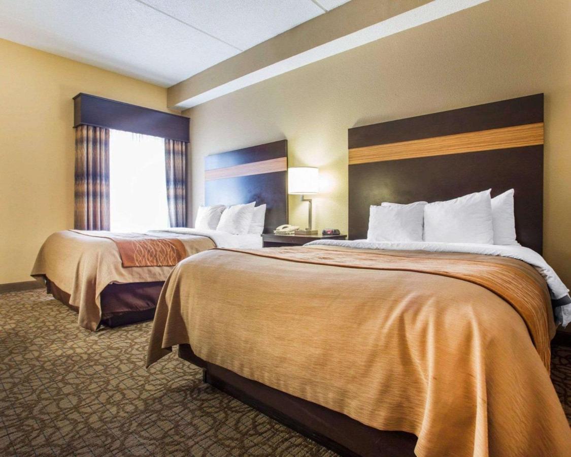 Queen Suite - Non-Smoking at Comfort Inn & Suites at Stone Mountain
