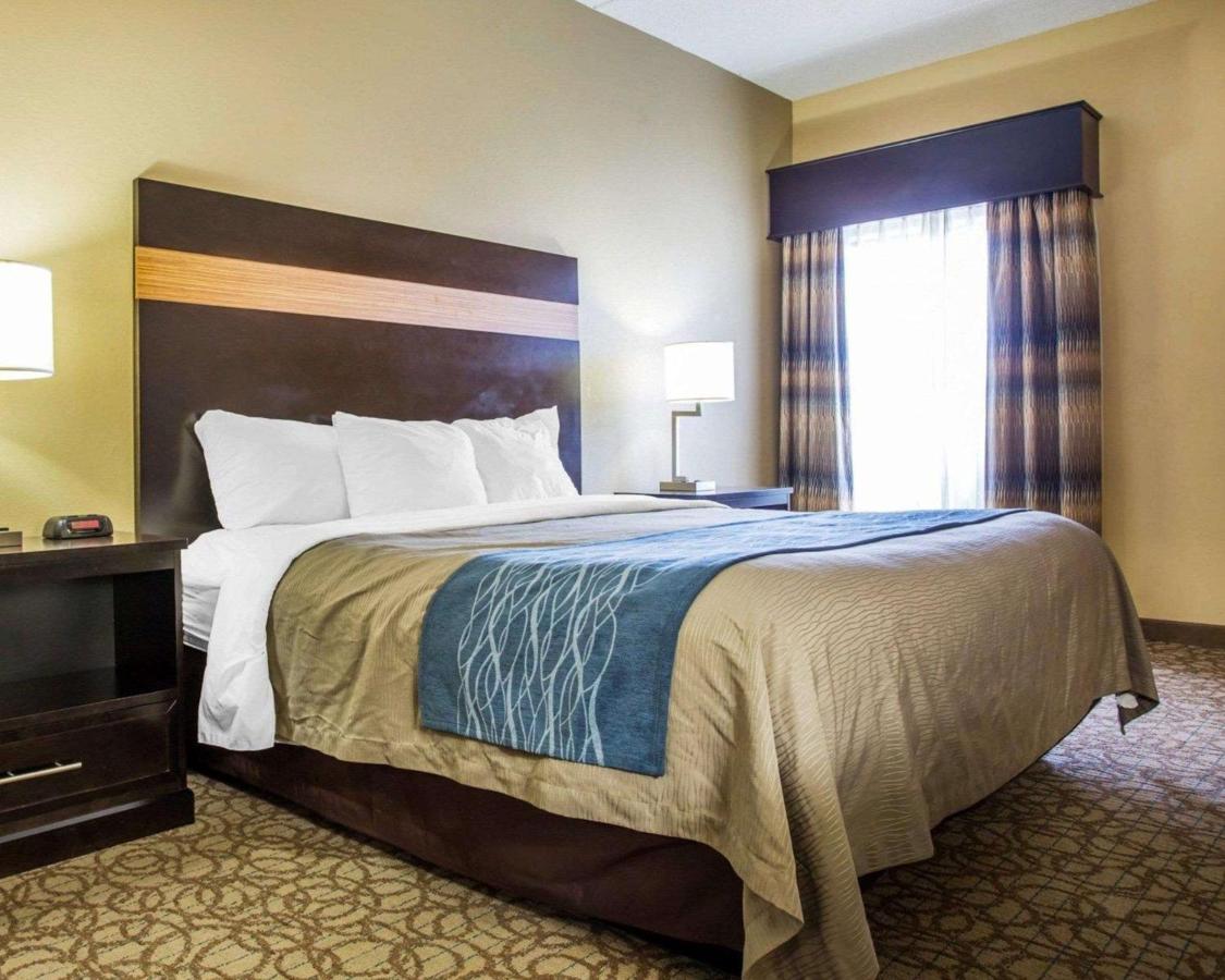 King Room - Accessible/Non-Smoking at Comfort Inn & Suites at Stone Mountain