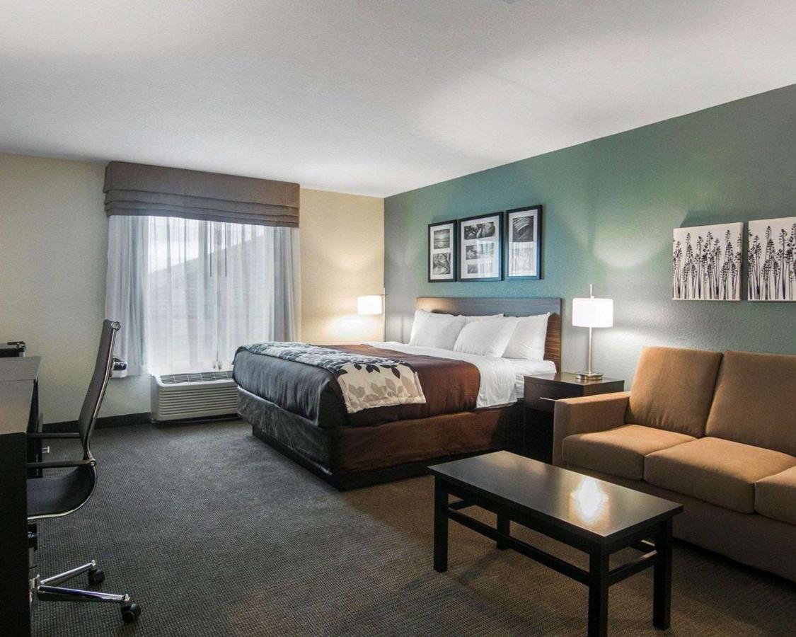 King Suite with Sofa Bed at Sleep Inn & Suites Fort Dodge