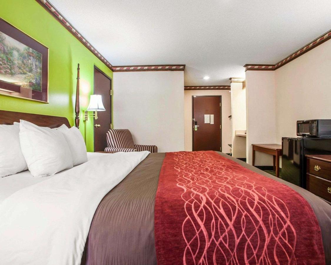 King Room at Quality Inn