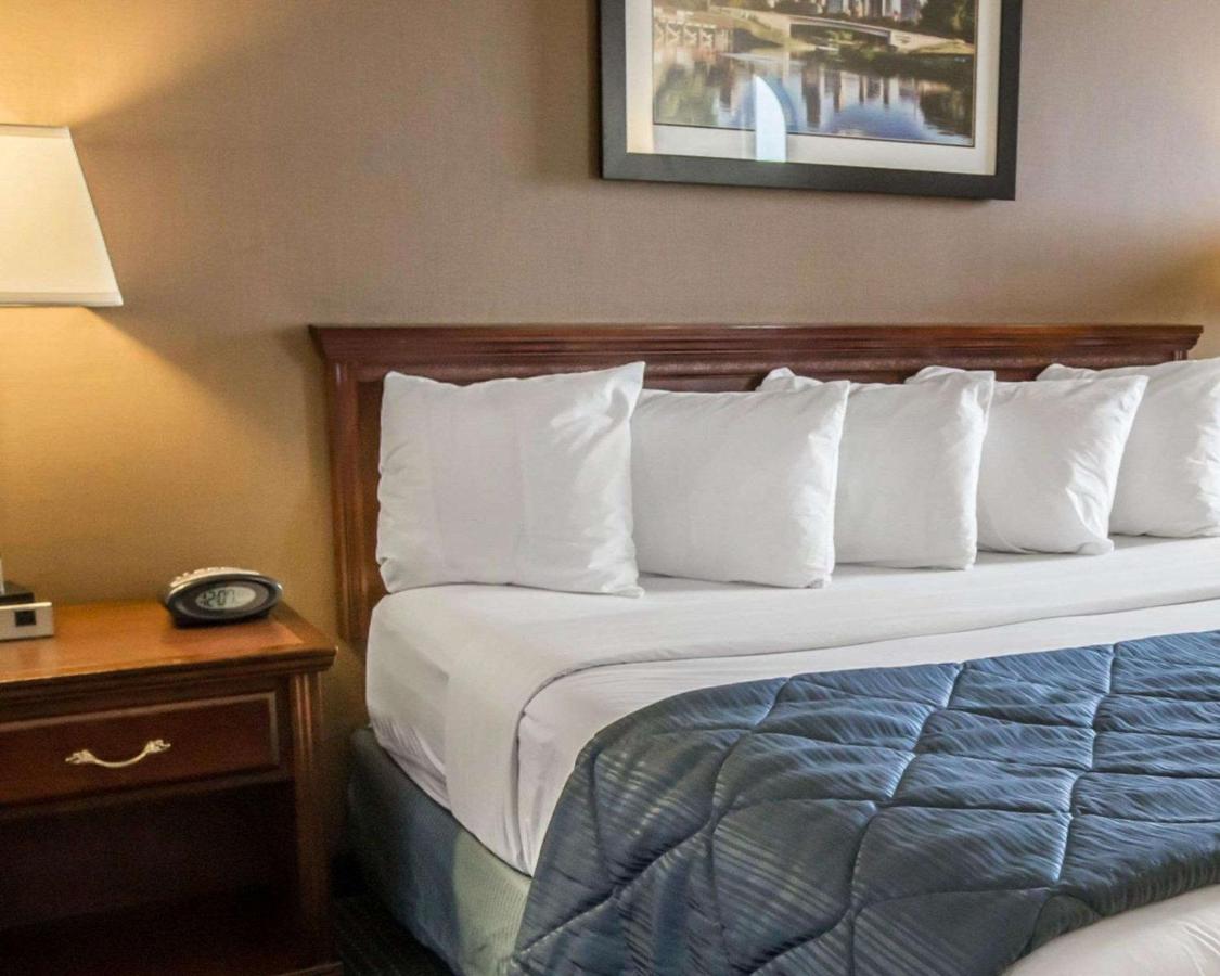 King Room - Non-Smoking at Quality Inn Schaumburg - Chicago near the Mall