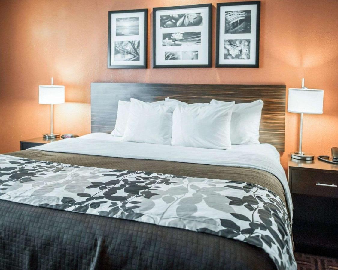 King Room - Non-Smoking at Sleep Inn O'Fallon near I-64