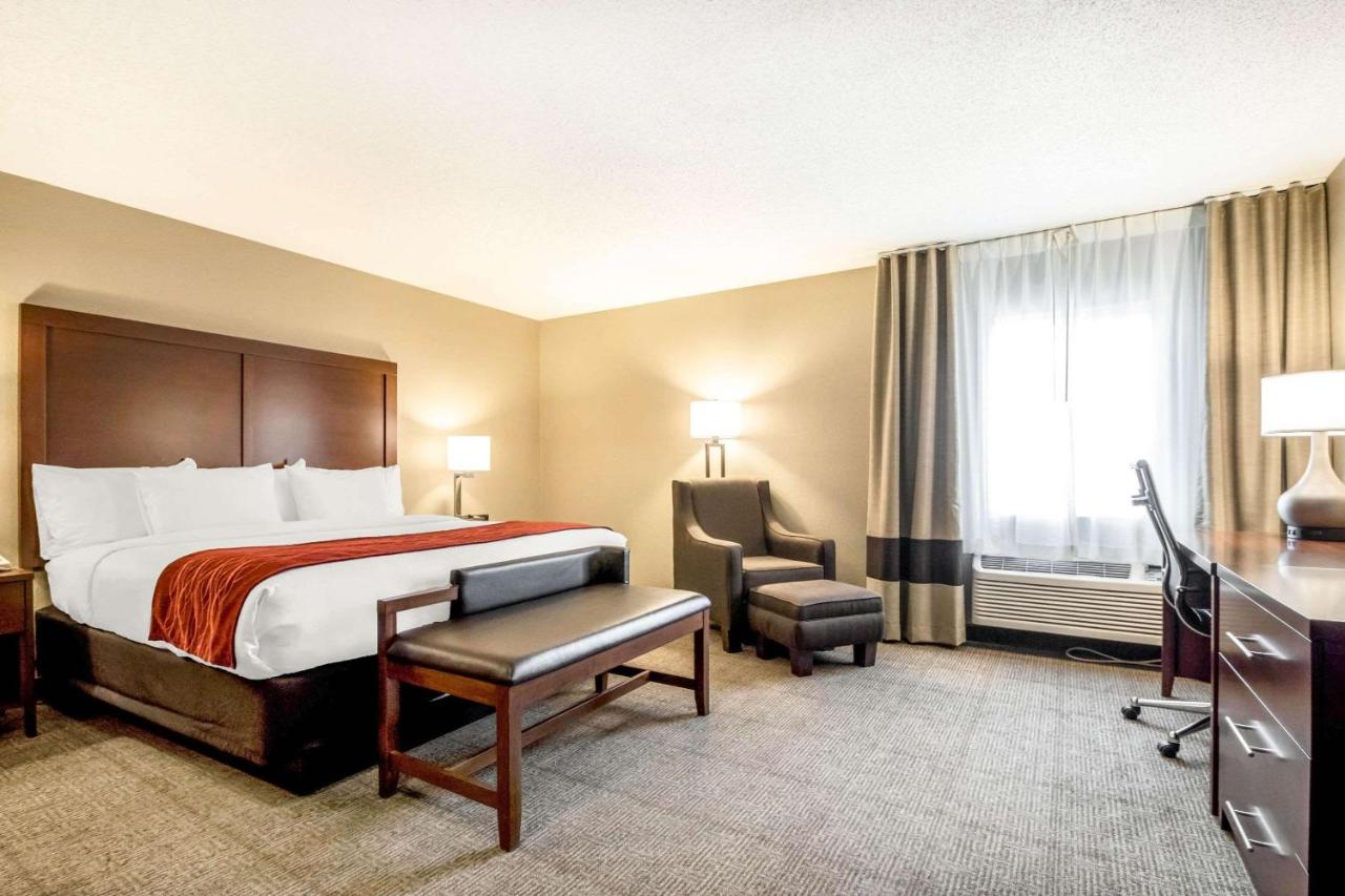 Standard King Room with Sofa Bed - Non-Smoking at Comfort Inn Ottawa Starved Rock Area