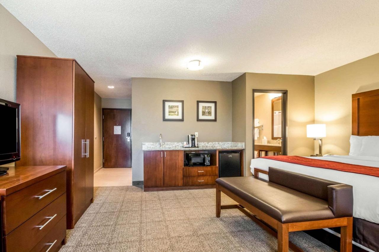 Standard King Room with Sofa Bed - Non-Smoking at Comfort Inn Ottawa Starved Rock Area